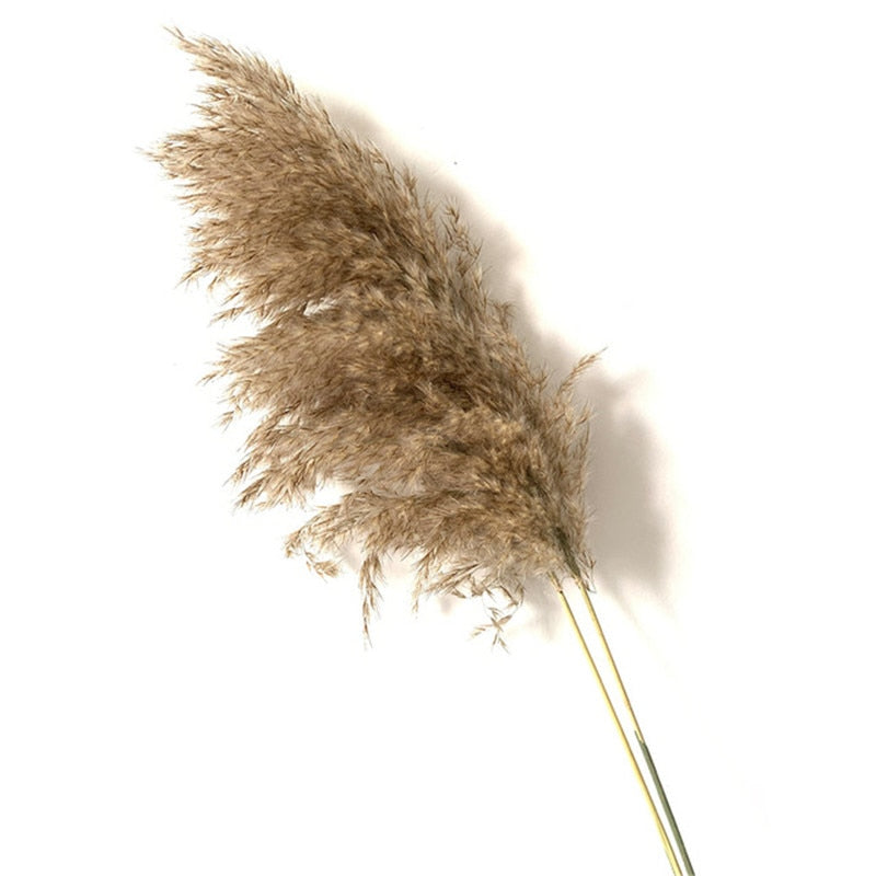 Dried Grass Bouquet