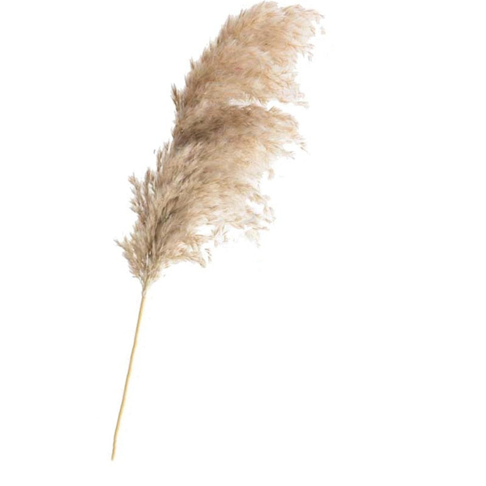 Dried Grass Bouquet