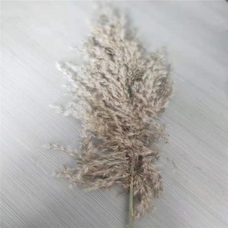 Dried Grass Bouquet