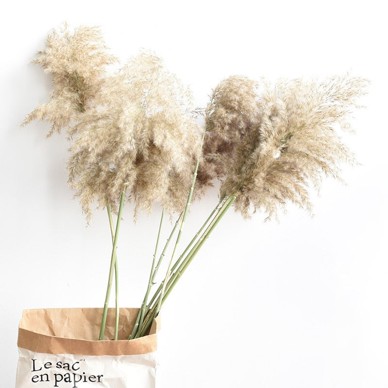 Dried Grass Bouquet