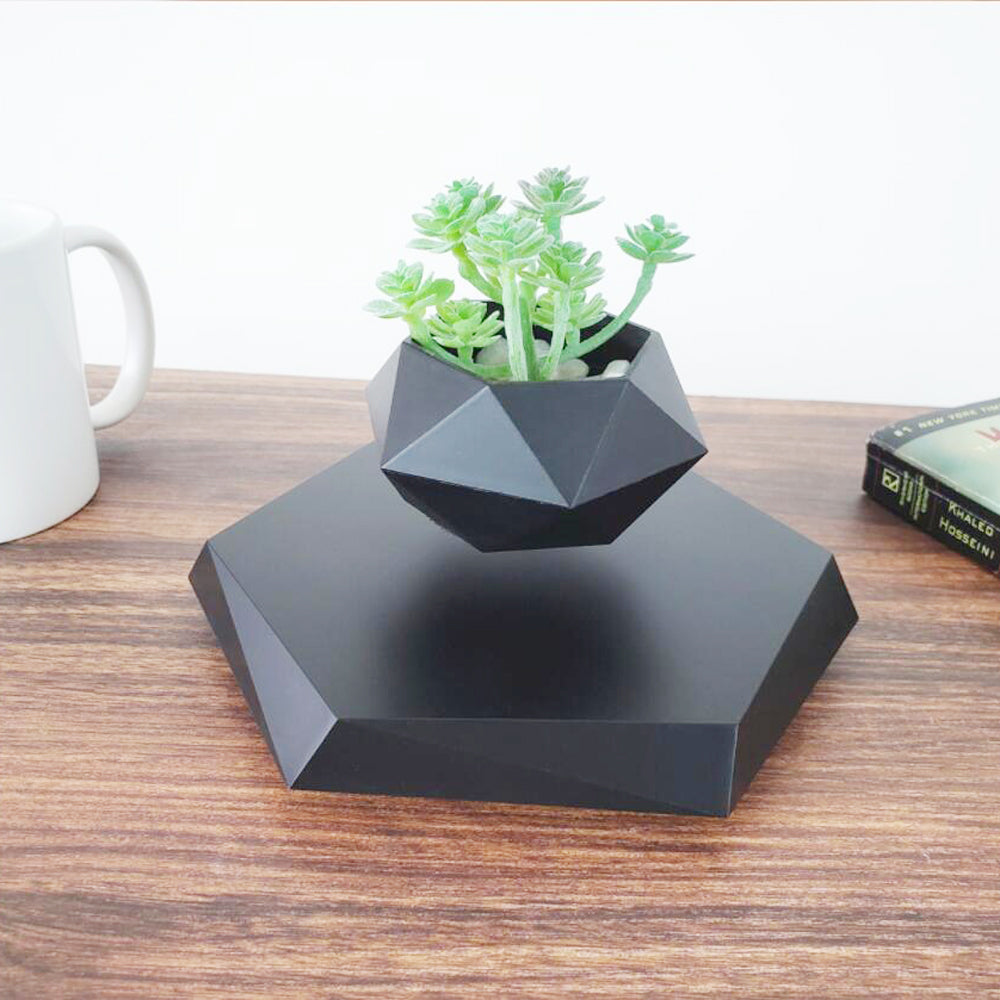 Levitating Plant